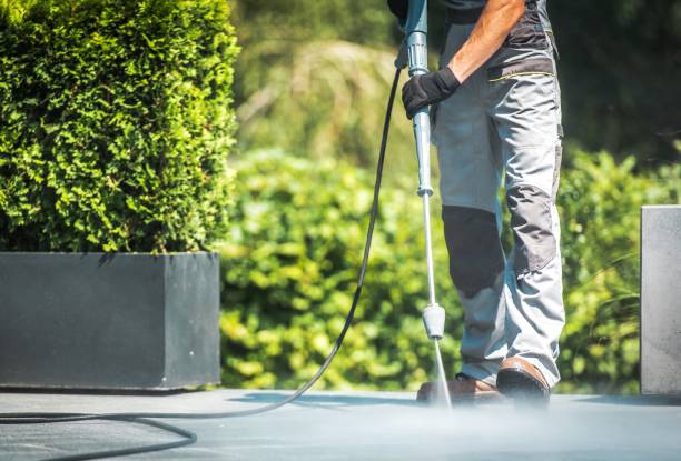 Best Roof Washing  in National Park, NJ